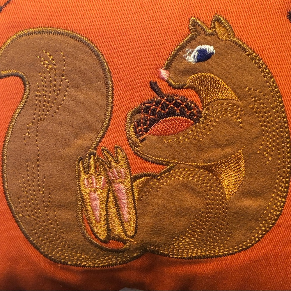 We’re Nuts For Fall Squirrel Decor Pillows - Picture 11 of 11